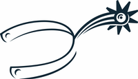 Shooting Star Logo